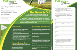 Brochure Design
